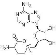 S-adenosil-L-metionina